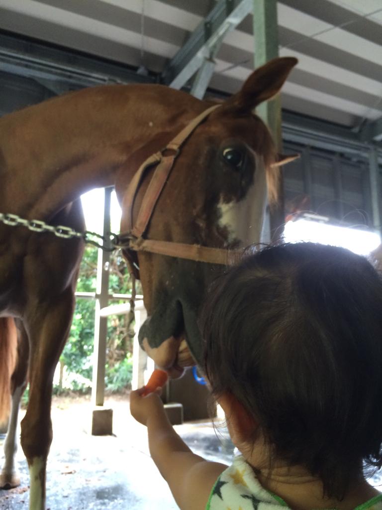 にんじんどうぞ 鹿児島市で気軽に乗馬体験 上村乗馬苑